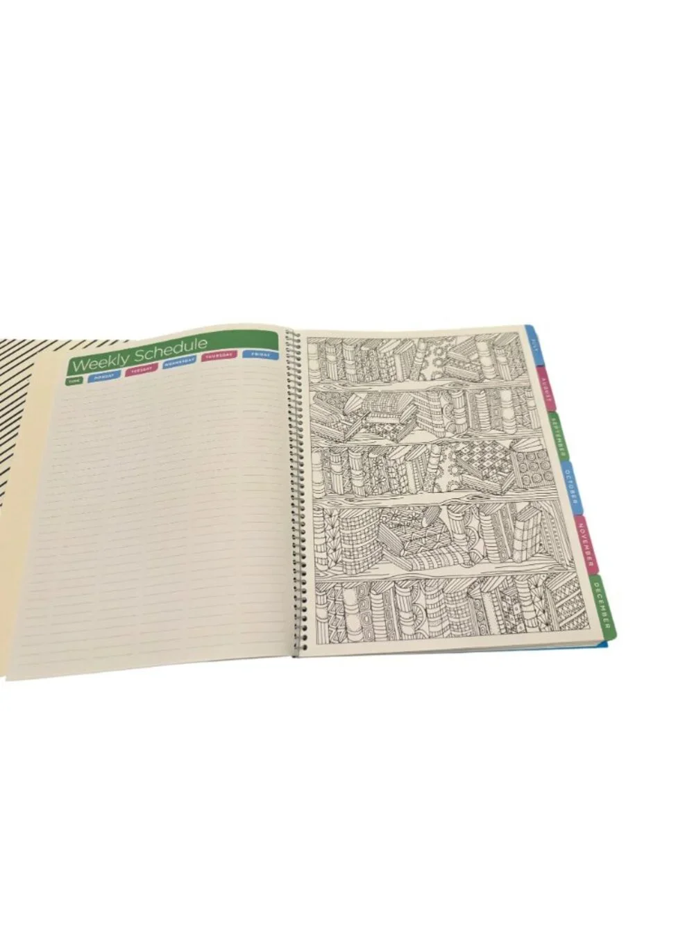Set of 2 new teacher undated planners 